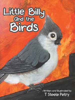 cover image of Little Billy and the Birds